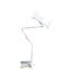 Universal tablet stand holder { premium quality // flexible// 360 degree rotation }